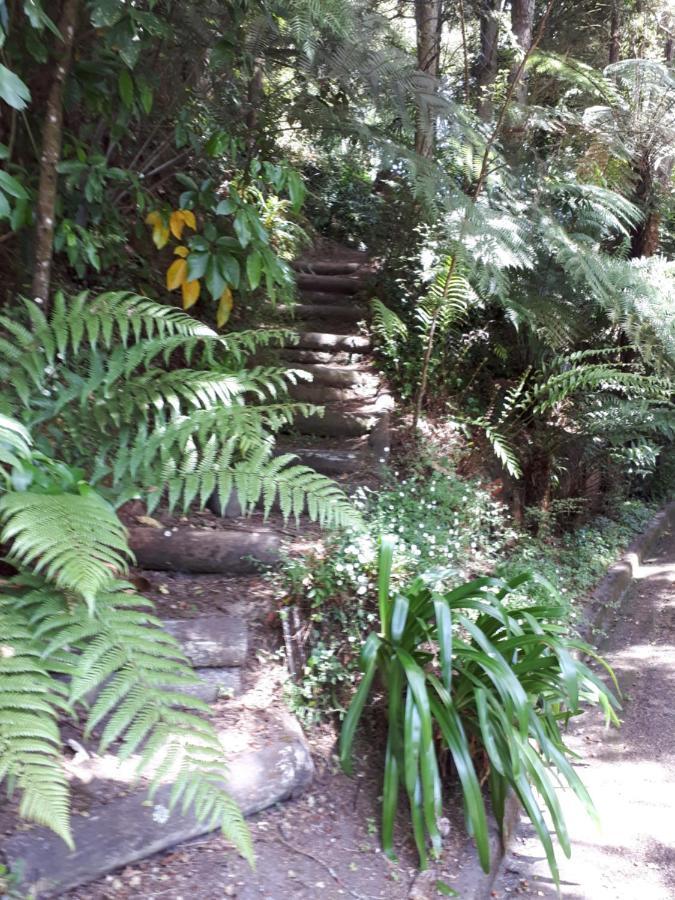 Rangaroa Heights Bed and Breakfast Taumarunui Esterno foto