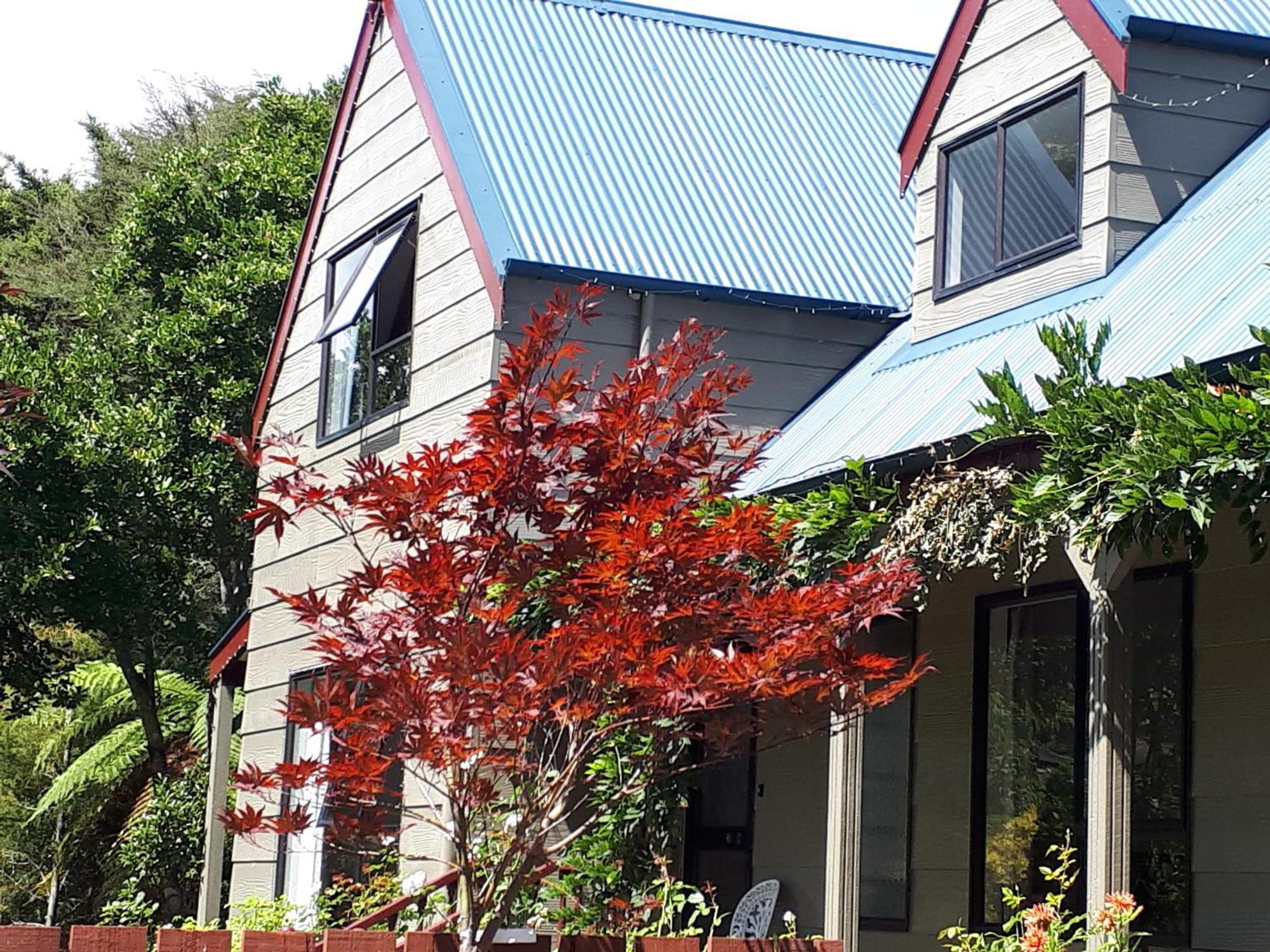 Rangaroa Heights Bed and Breakfast Taumarunui Esterno foto