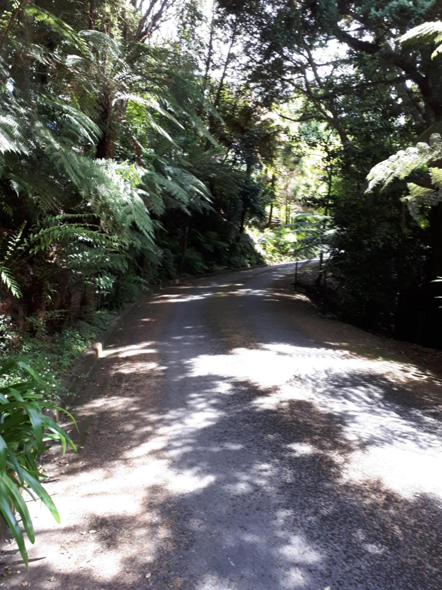 Rangaroa Heights Bed and Breakfast Taumarunui Esterno foto
